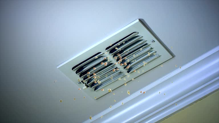 Best Ventilation Cleaning Services  in Shoshone, ID