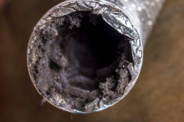 Best HVAC Air Duct Cleaning  in Shoshone, ID