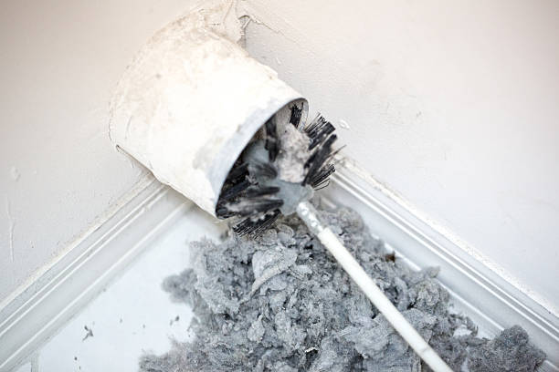 Best Air Duct Sanitizing Services  in Shoshone, ID